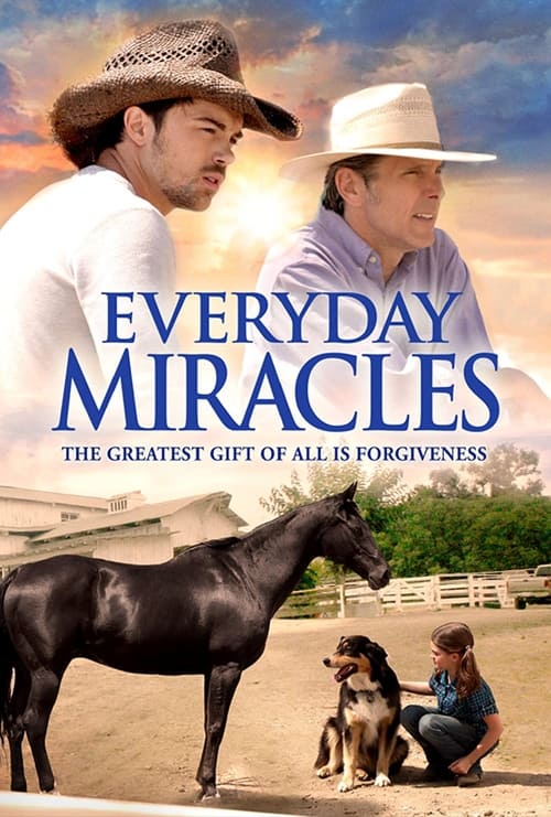 Poster for Everyday Miracles