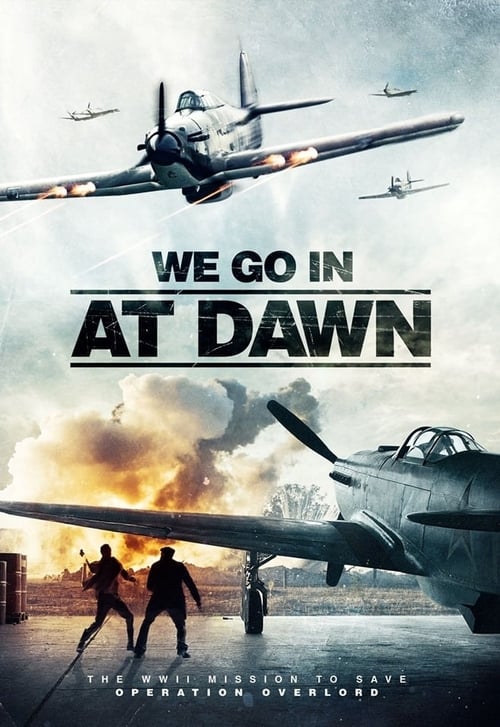 Poster for We Go in at Dawn