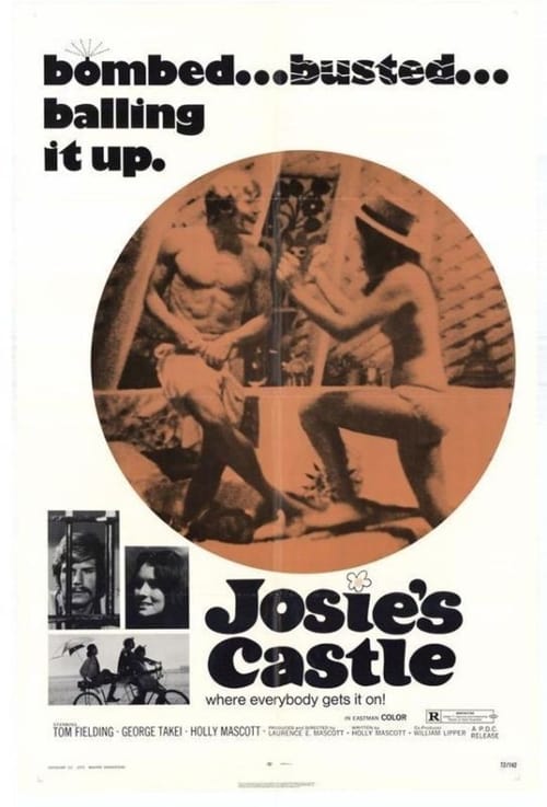 Poster for Josie's Castle