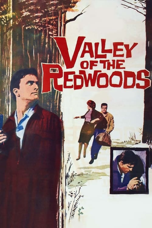 Poster for Valley of the Redwoods