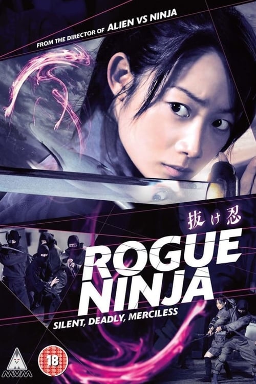 Poster for Rogue Ninja
