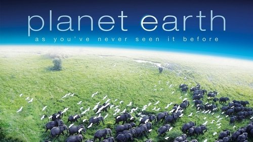 Planet Earth scene 8