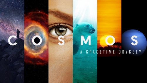 Cosmos scene 4