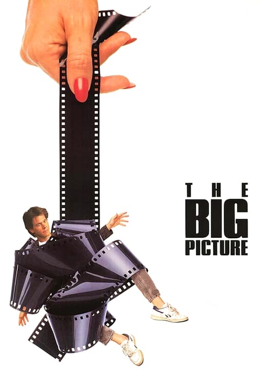 Poster for The Big Picture