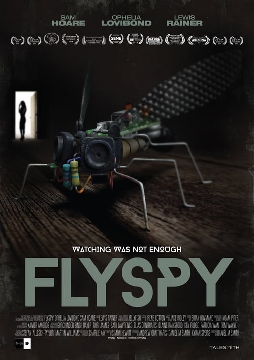 Poster for Flyspy