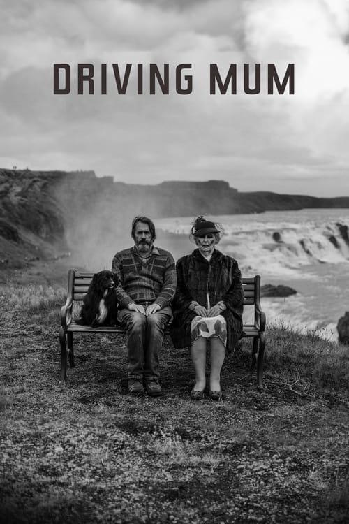 Poster for Driving Mum
