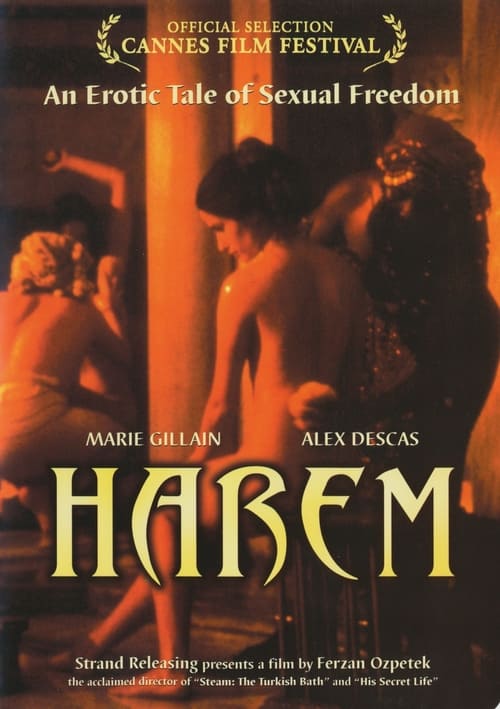 Poster for Last Harem