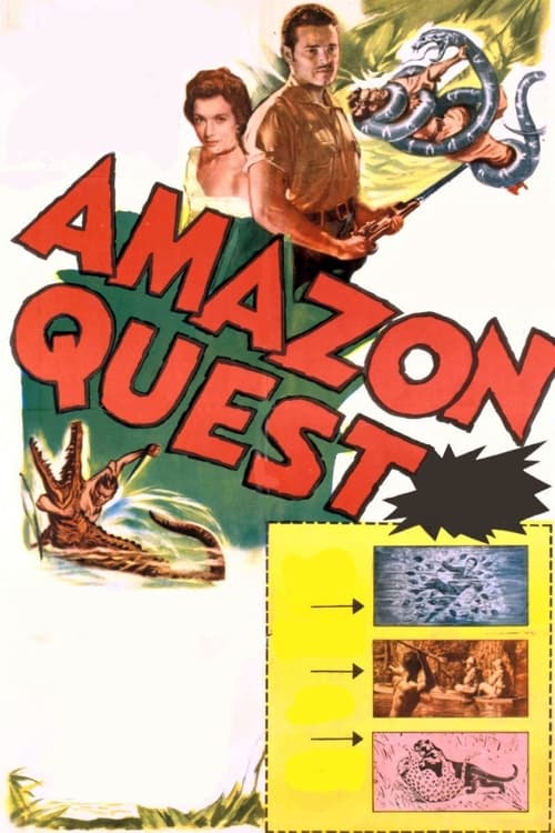 Poster for Amazon Quest