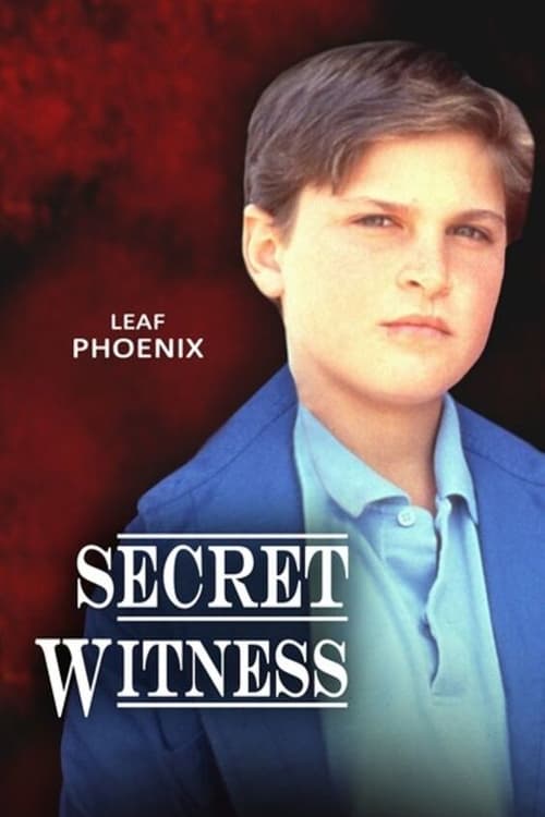 Poster for Secret Witness