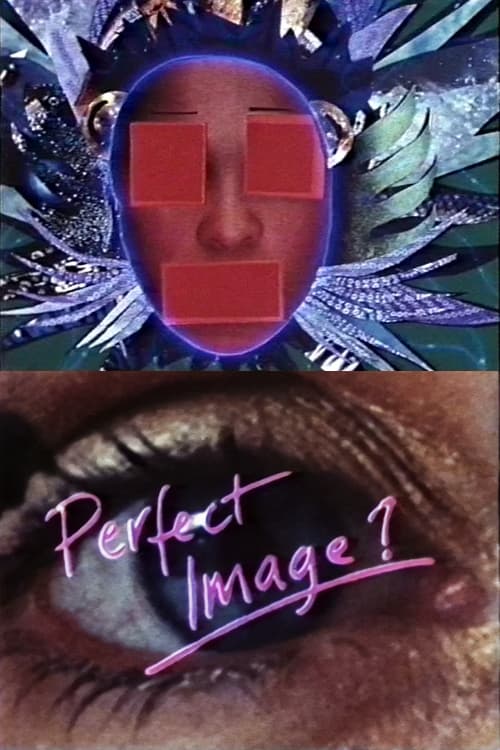 Poster for Perfect Image?