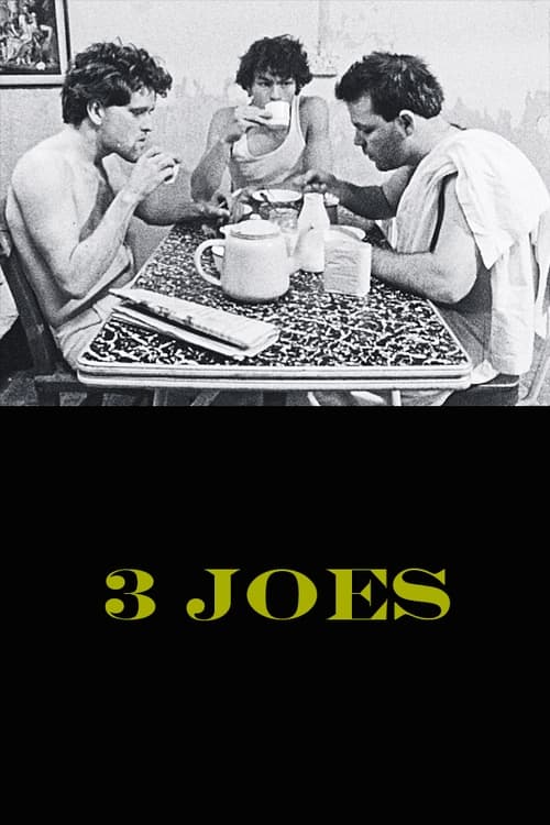 Poster for 3 Joes