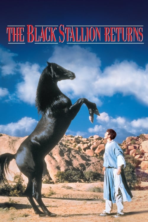 Poster for The Black Stallion Returns