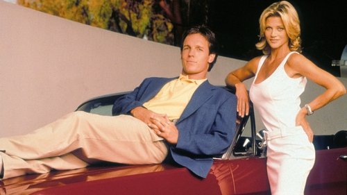 Silk Stalkings scene 3
