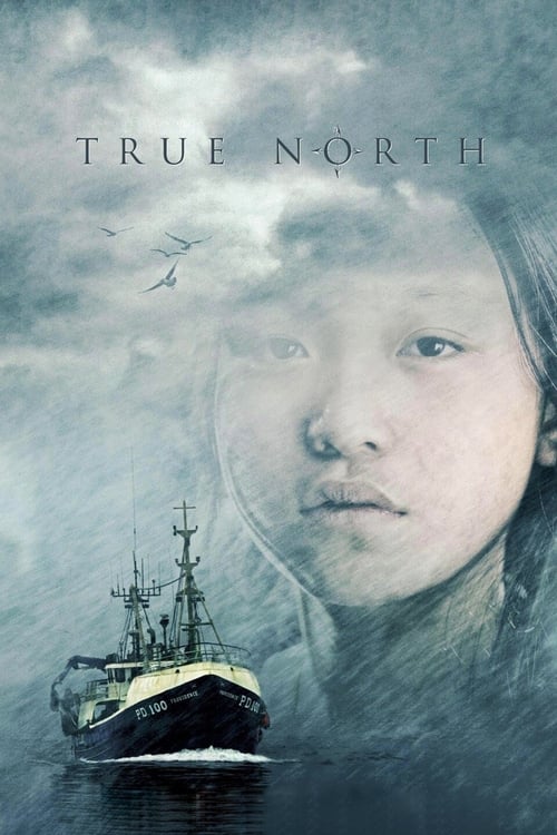 Poster for True North