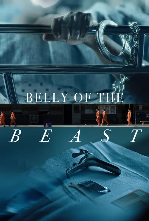 Poster for Belly of the Beast