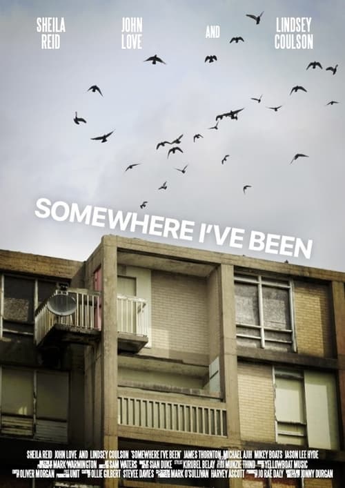 Poster for Somewhere I've Been
