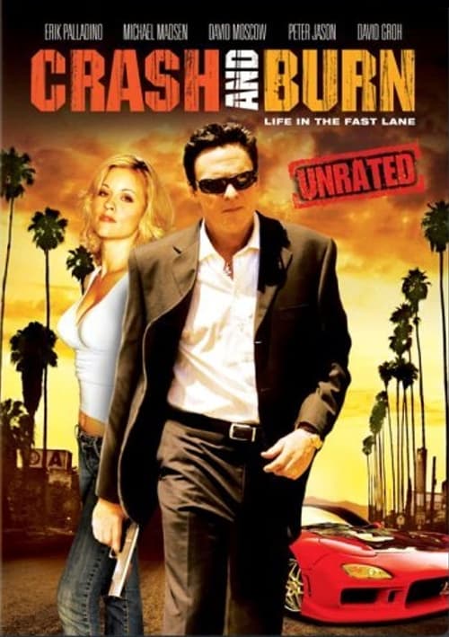 Poster for Crash and Burn