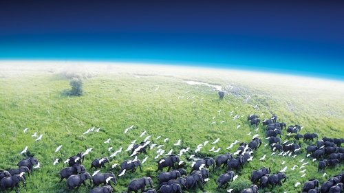Planet Earth scene 1