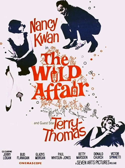 Poster for The Wild Affair