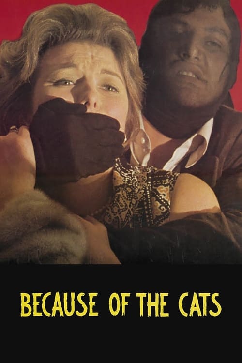 Poster for Because of the Cats