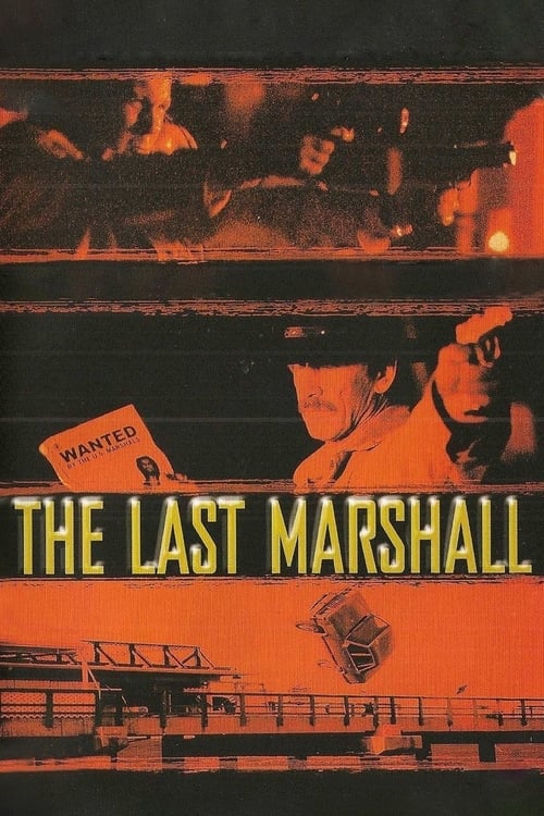 Poster for The Last Marshal