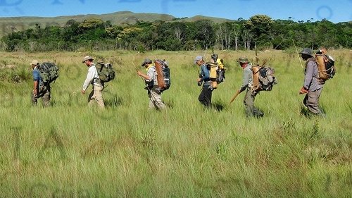 Out of the Wild: Venezuela scene 1