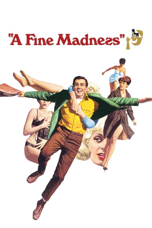 Poster for A Fine Madness