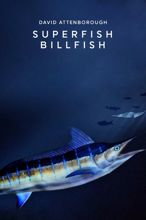 Poster for Superfish