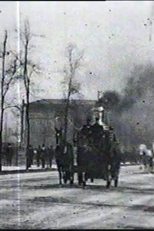 Chicago Fire Department Runs