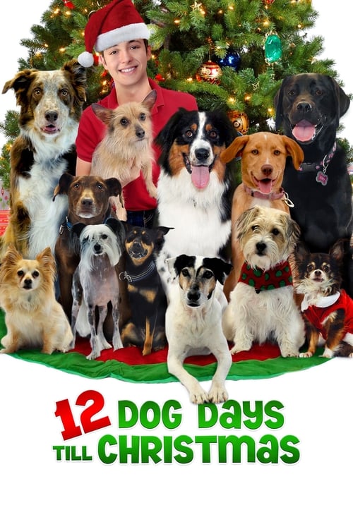 Poster for 12 Dog Days Till Christmas