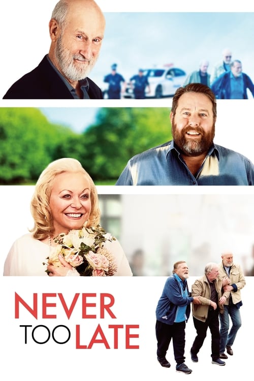 Poster for Never Too Late