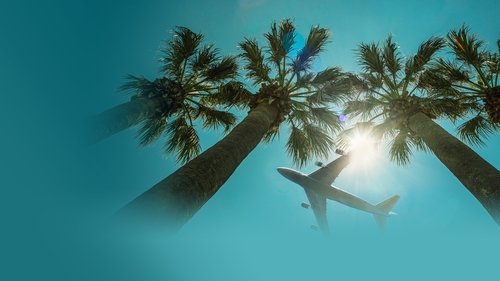 Airport 24/7: Miami scene 1
