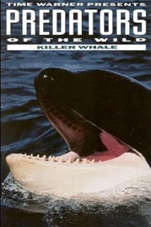 Poster for Predators of the Wild: Killer Whale