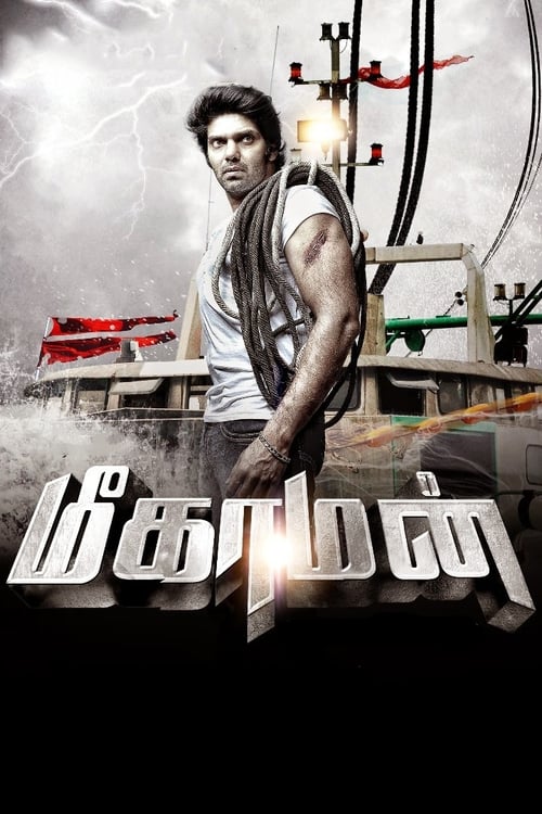 Poster for Meaghamann