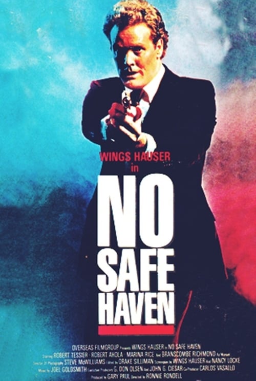 Poster for No Safe Haven