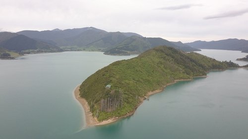 Kiwiland scene 1