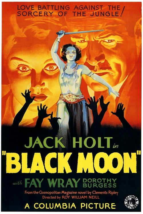 Poster for Black Moon