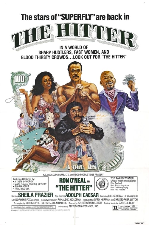 Poster for The Hitter