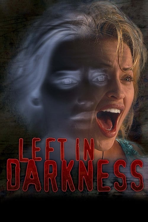 Poster for Left In Darkness