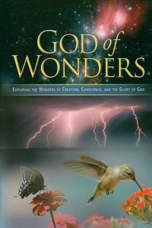 Poster for God of Wonders
