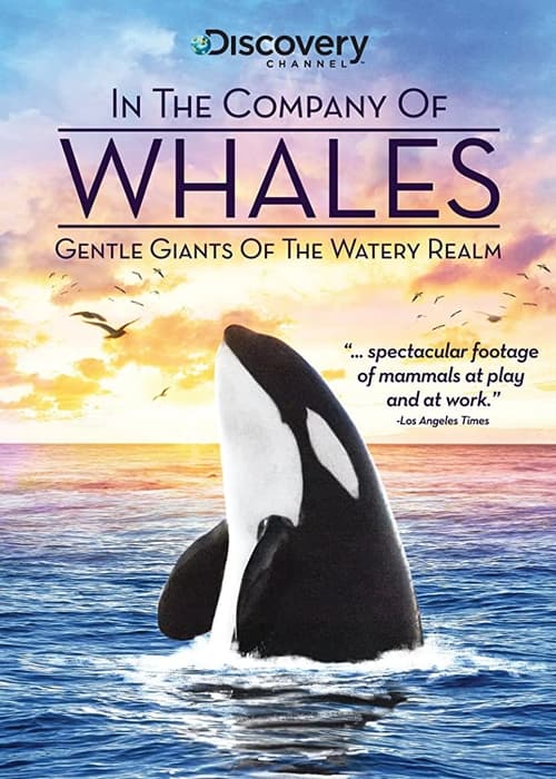 Poster for In the Company of Whales