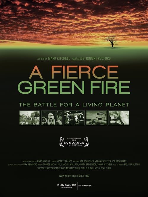 Poster for A Fierce Green Fire