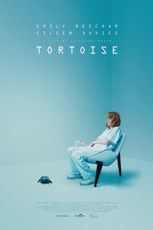 Poster for Tortoise