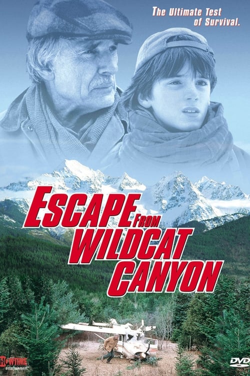 Poster for Escape from Wildcat Canyon