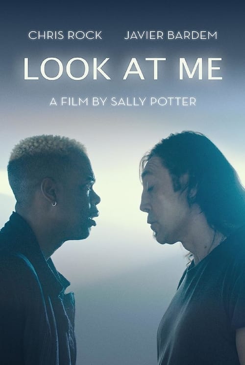 Poster for Look at Me