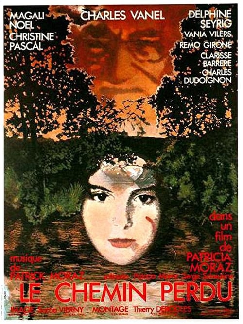 Poster for The Lost Way