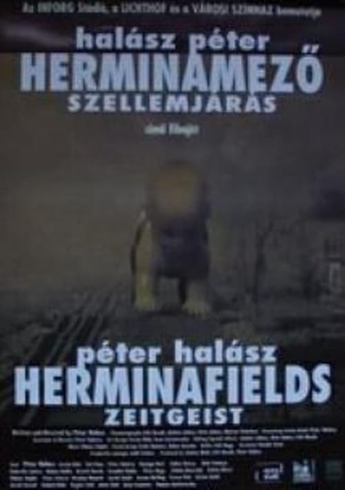 Poster for Herminafields - Zeitgeist
