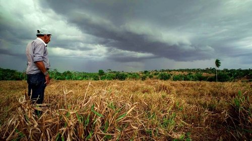 Transamazonica: A Highway to the Past scene 6