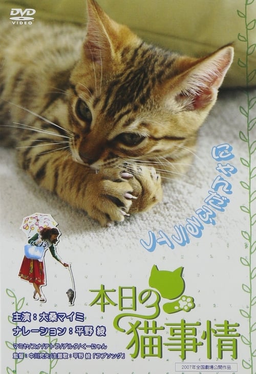 Poster for Honjitsu no neko jijô