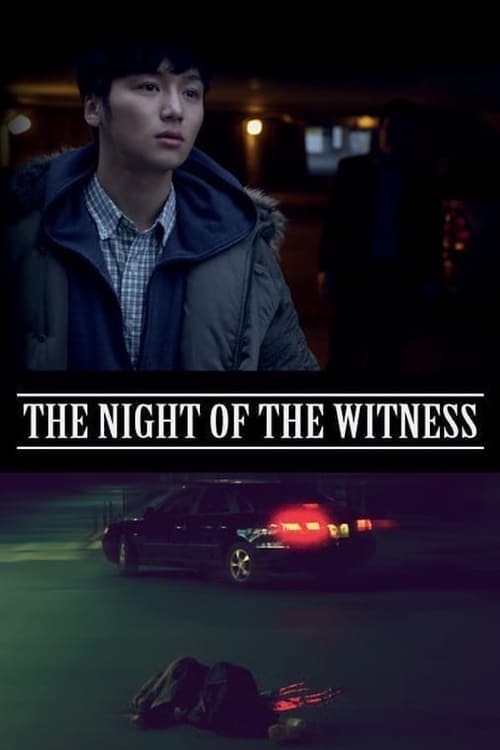 Poster for The Night of the Witness